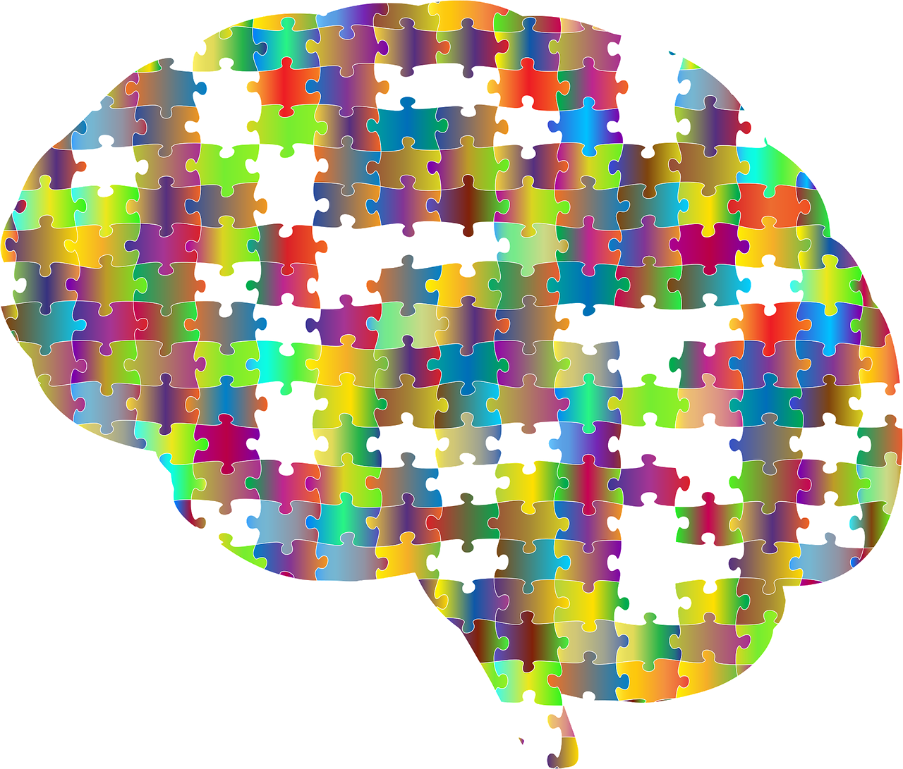 ¿Qué es la neuroeducación?