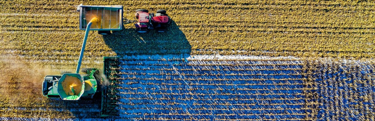 ¿Qué es la Contaminación Genética?