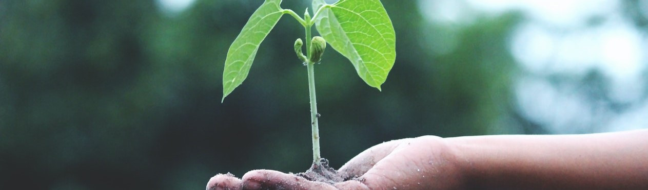 ¿Qué es la Huella Ecológica?